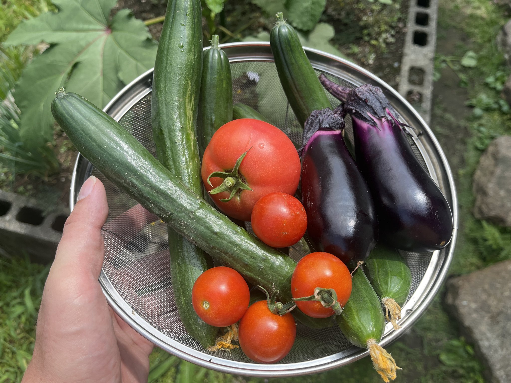 野菜別栽培記録