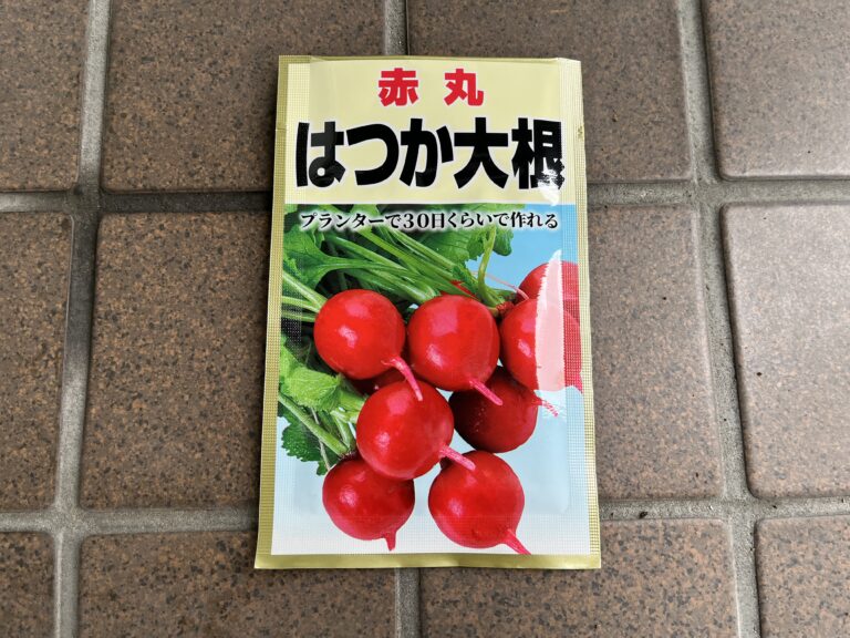 【家庭菜園日記】奥さんの希望で、はつか大根を“室内”で育ててみることに！