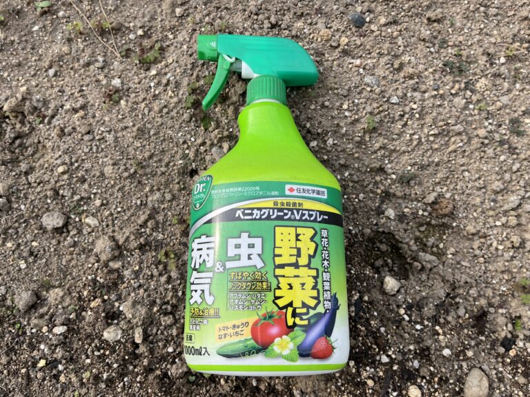 【病害虫対策】アブラムシ対策に！「ベニカグリーン」の実力を試してみた｜家庭菜園の体験レポート