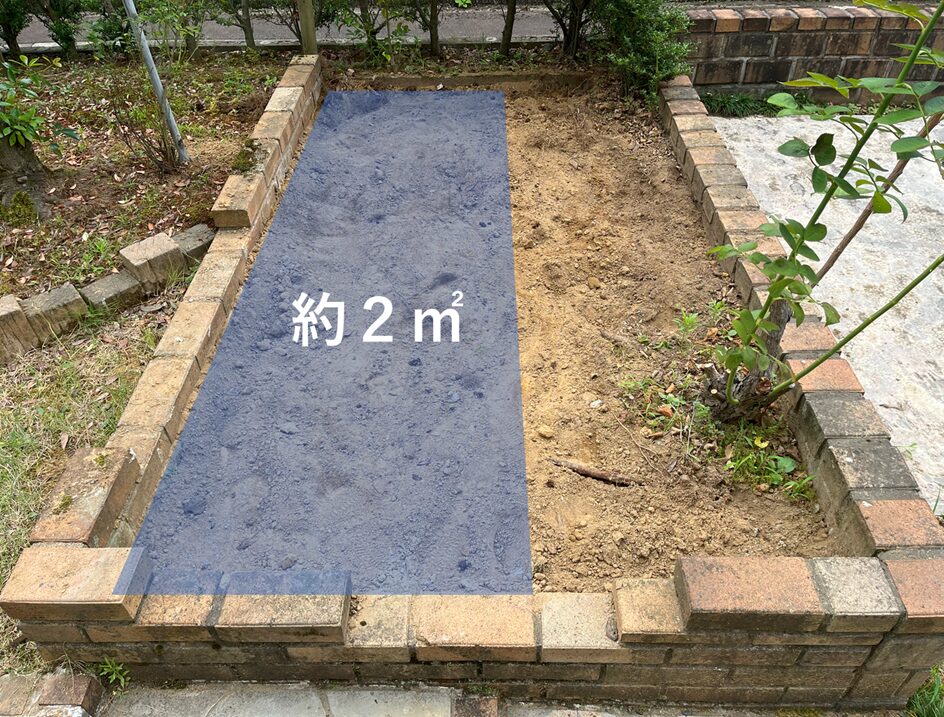 ネギを植える予定の面積