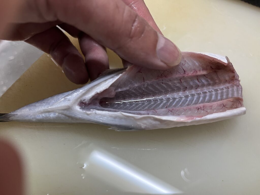トビウオの内臓をきれいに掃除