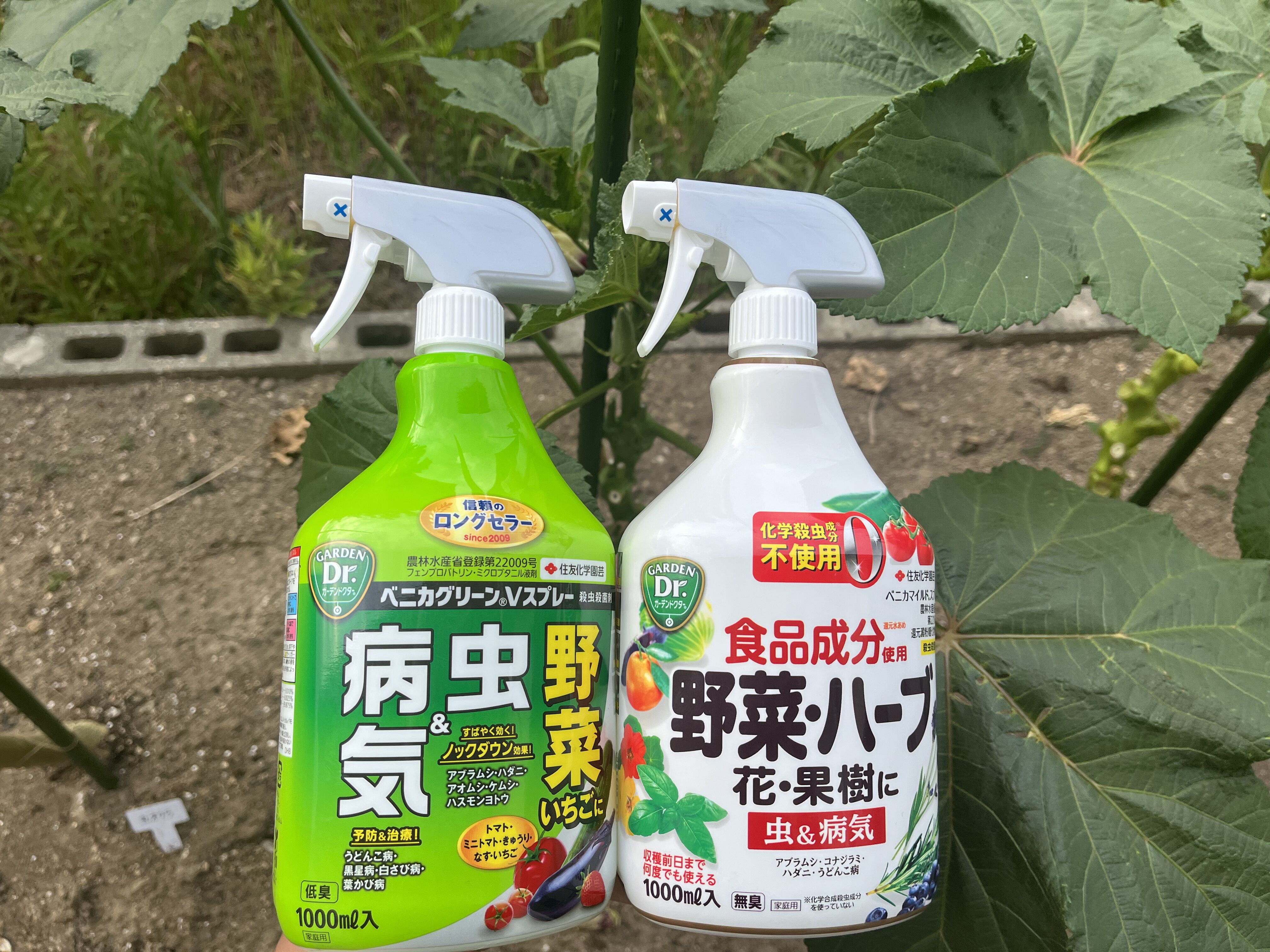 病害虫対策