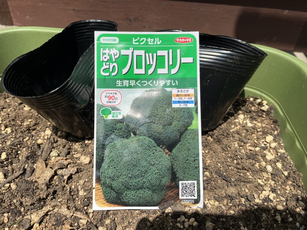 はやどりブロッコリーの種袋