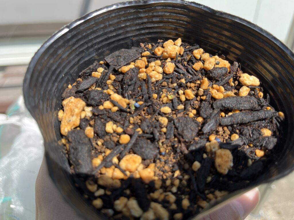 培養土で種まきをしたが、うまく発芽しなかった様子