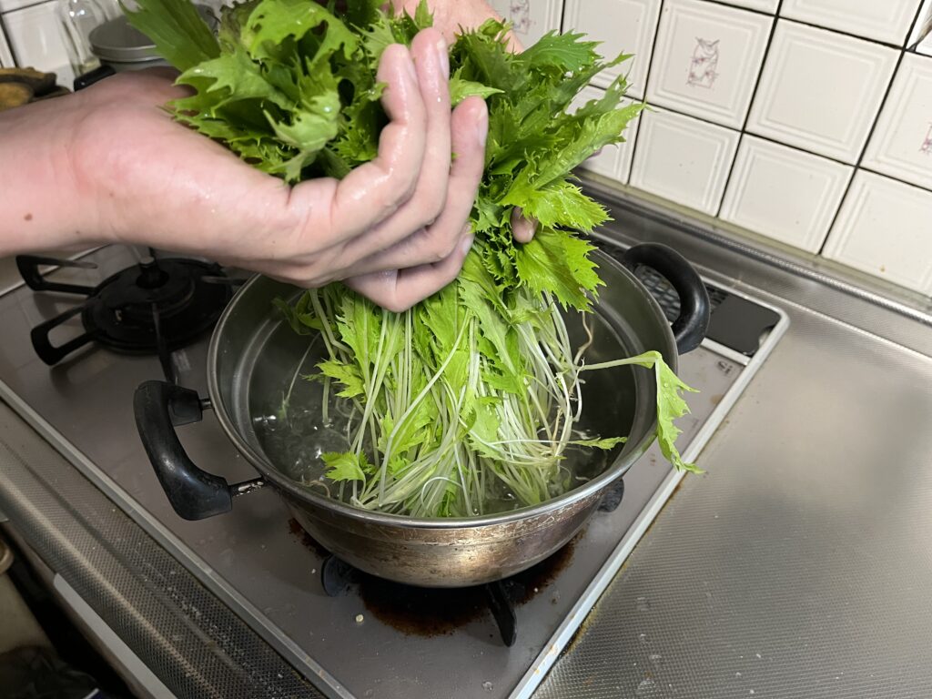 根から熱湯に入れている水菜