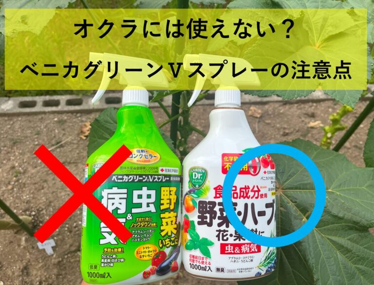 【病害虫対策】オクラにベニカグリーンVスプレーを使ったけれど･･･適用作物に記載なし？どうする？どう考える？