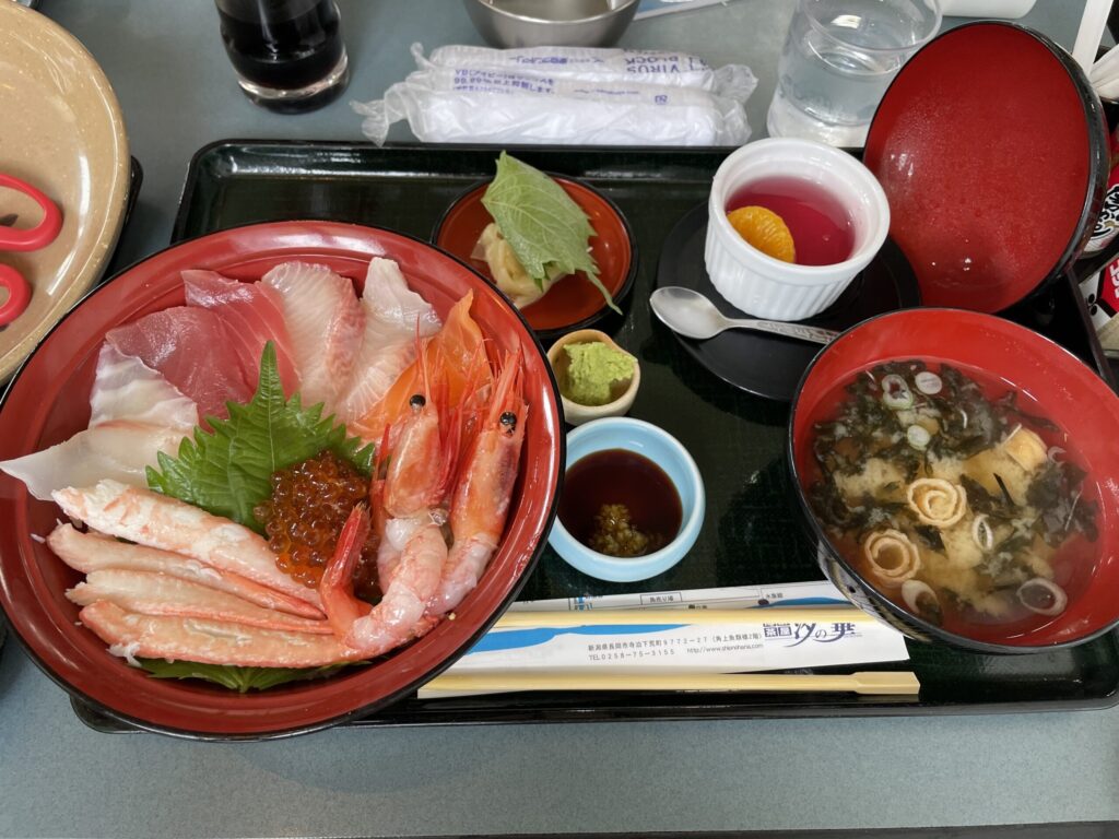 マグロ、タイ、エビ、カニ、イクラなどが乗ったとても美味しそうな海鮮丼