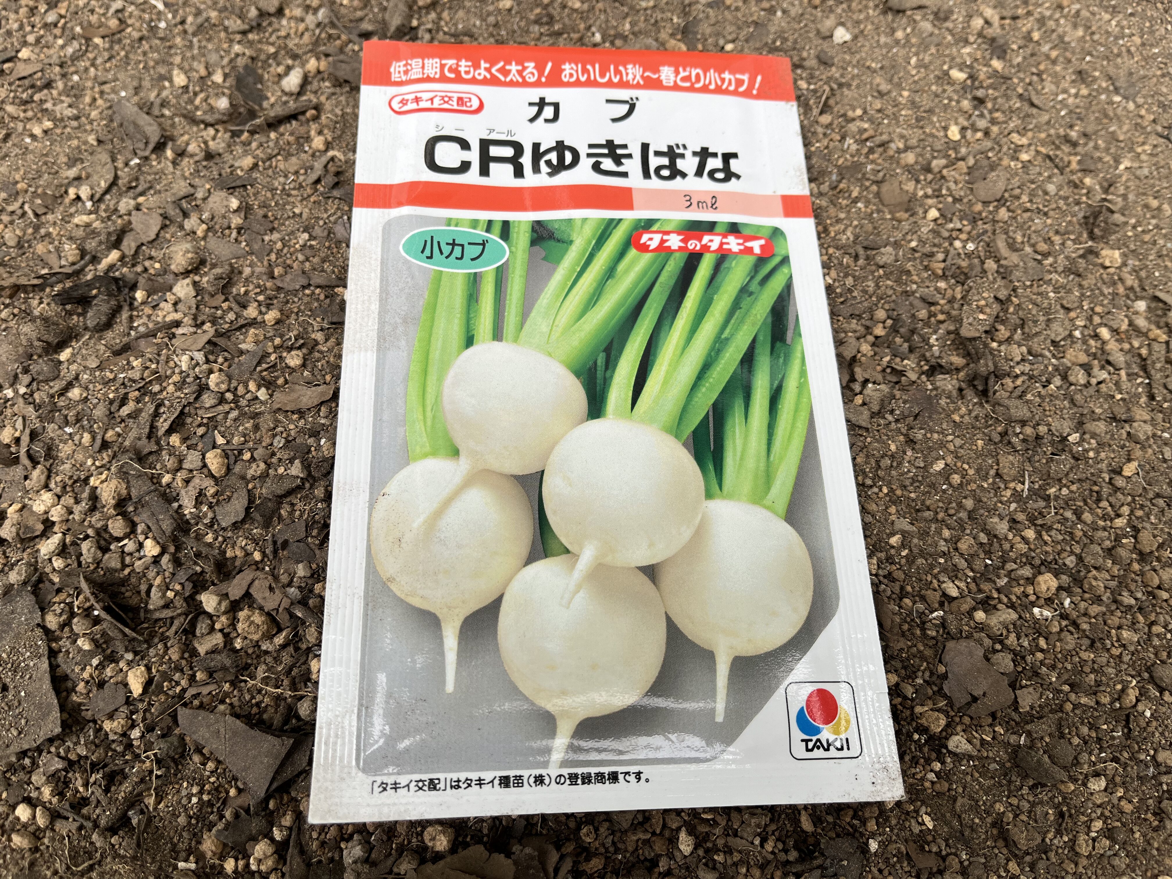 小カブの種CRゆきばな