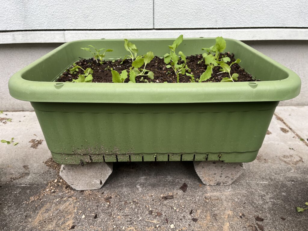 プランターの下にブロックを置いて空間をあけている様子