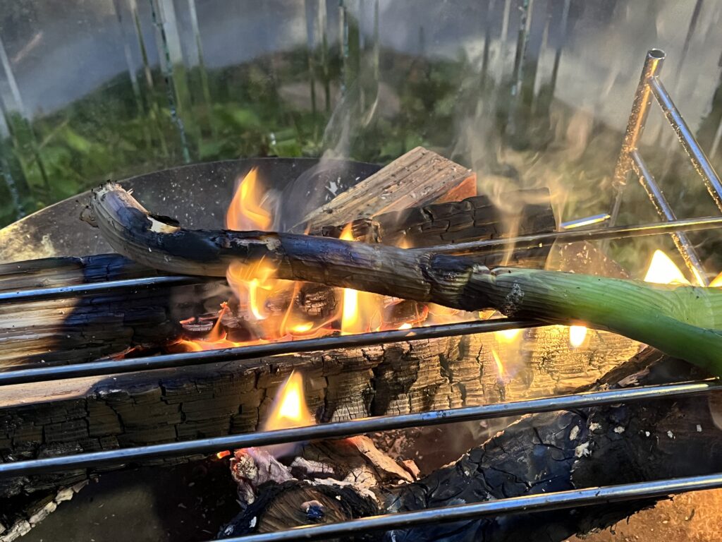 焚き火で焼いて黒く焼けた長ネギ