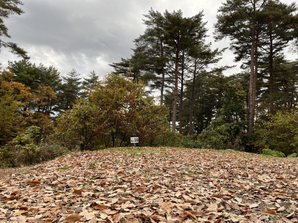 撤収後の赤松サイトの全景