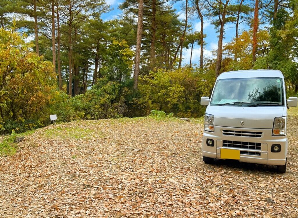 赤松サイトの開けた区画の全景