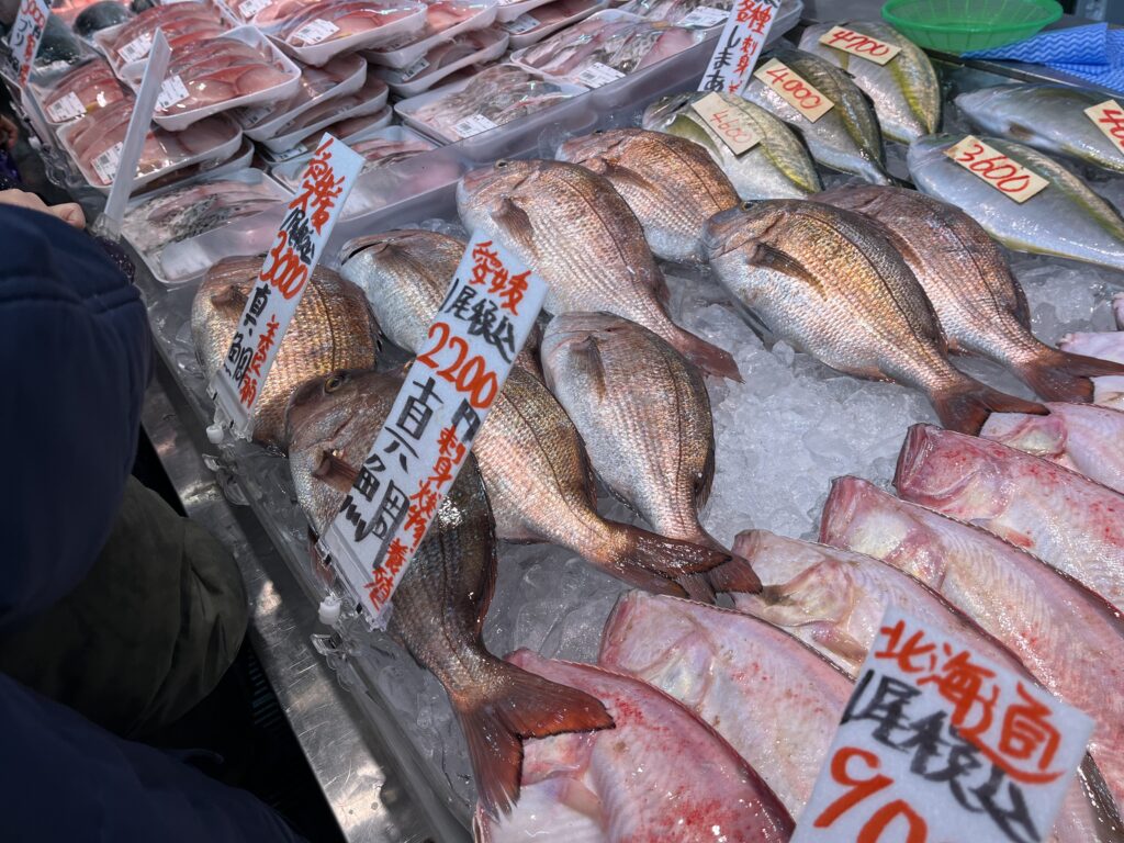 今回購入した愛媛産養殖真鯛が売場に並んでいる様子
