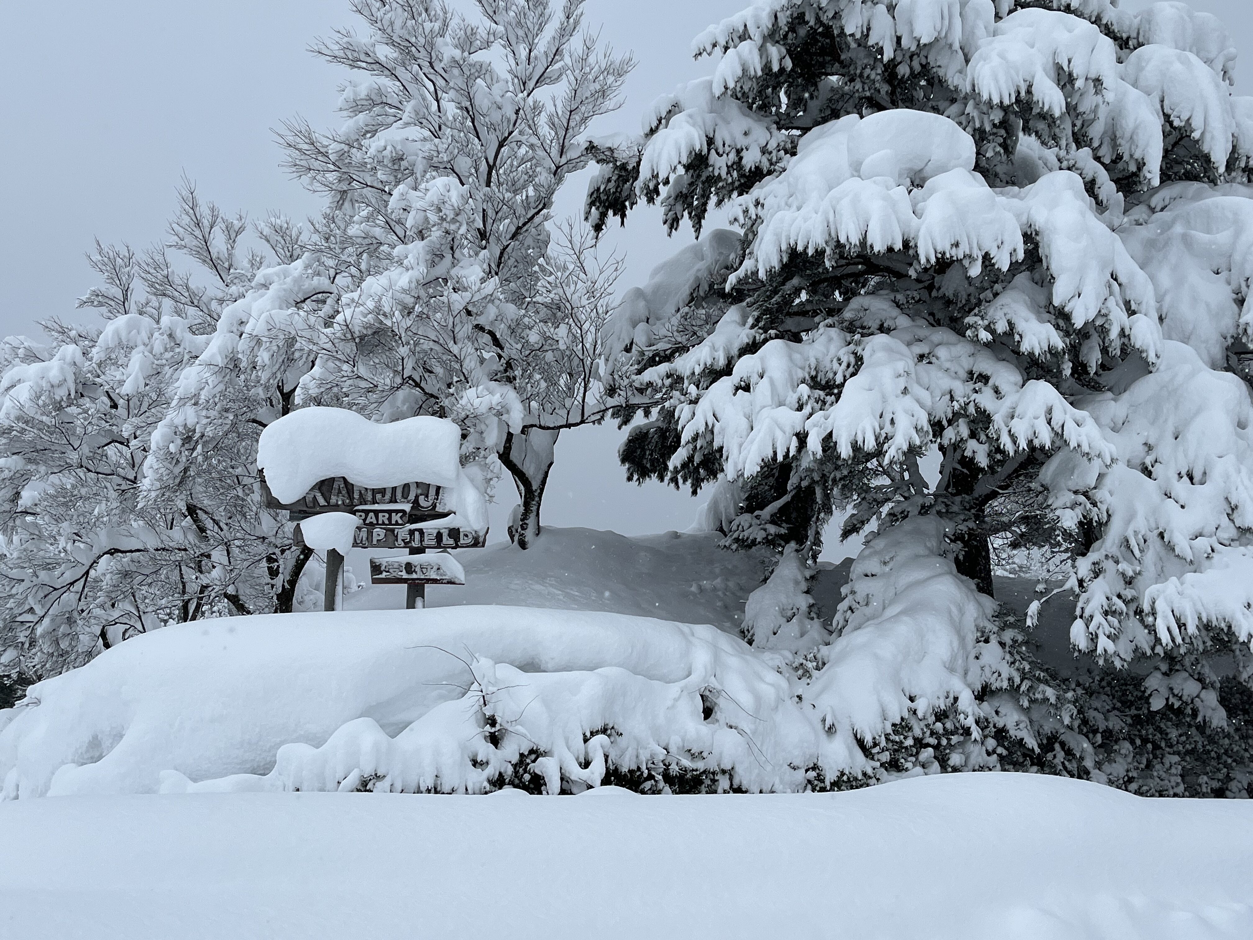 雪に覆われた閑乗寺公園キャンプ場の看板