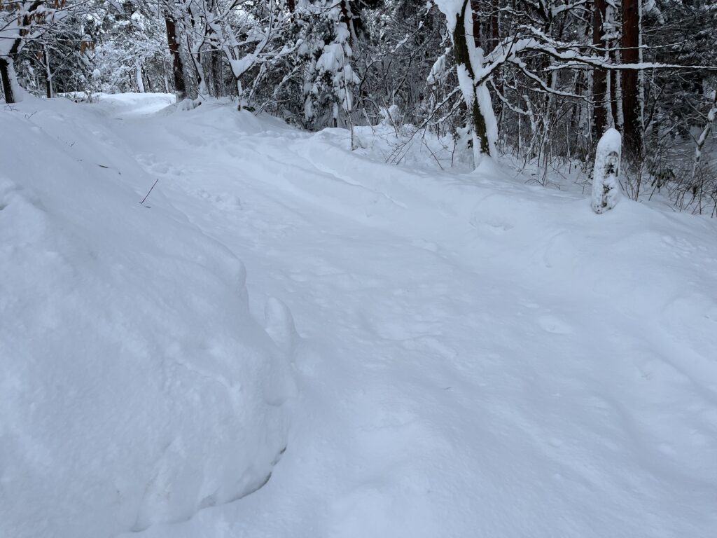 予約サイトを確認しに向かっているが、雪が多くて途中で断念した様子