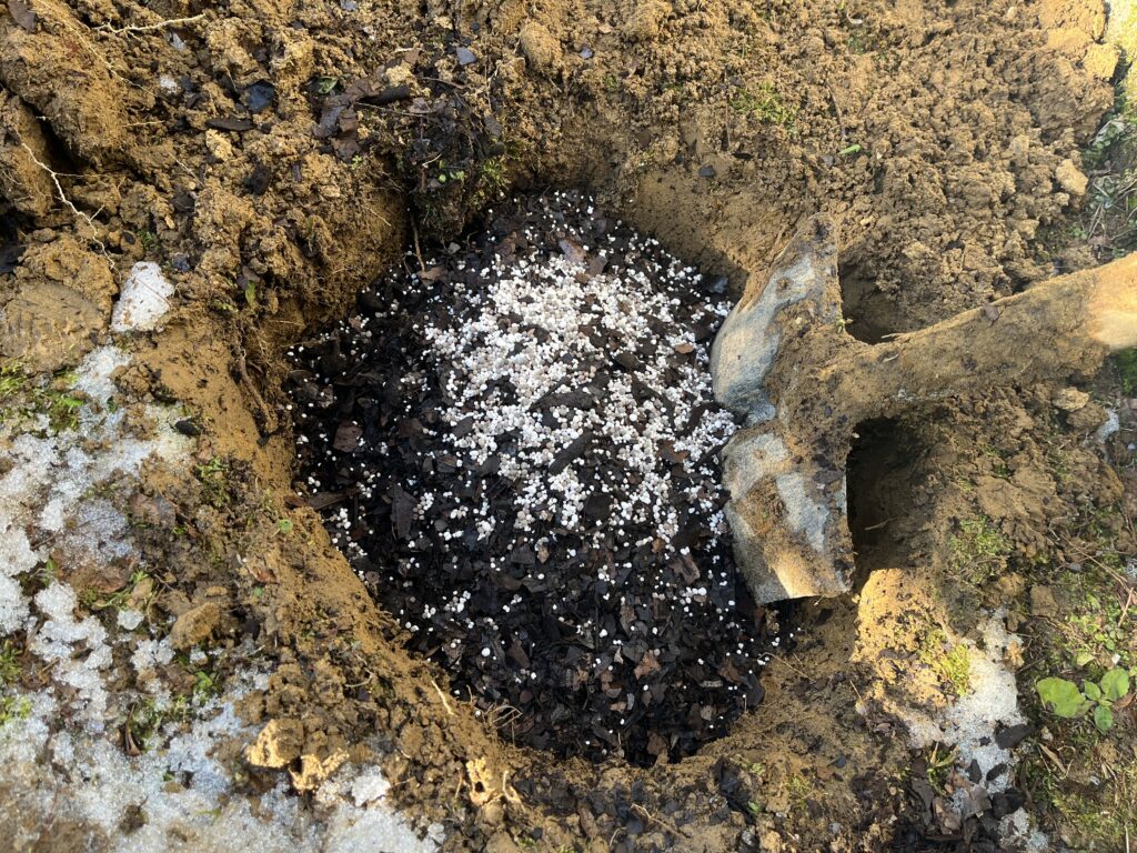 掘り上げた土を穴に戻し、そこへ堆肥と肥料を混ぜ合わせる様子