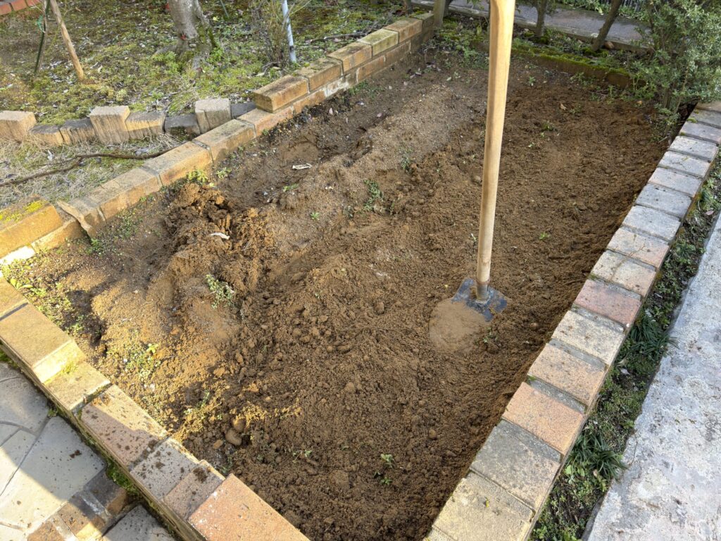 畑に石灰を撒いたところを耕した様子