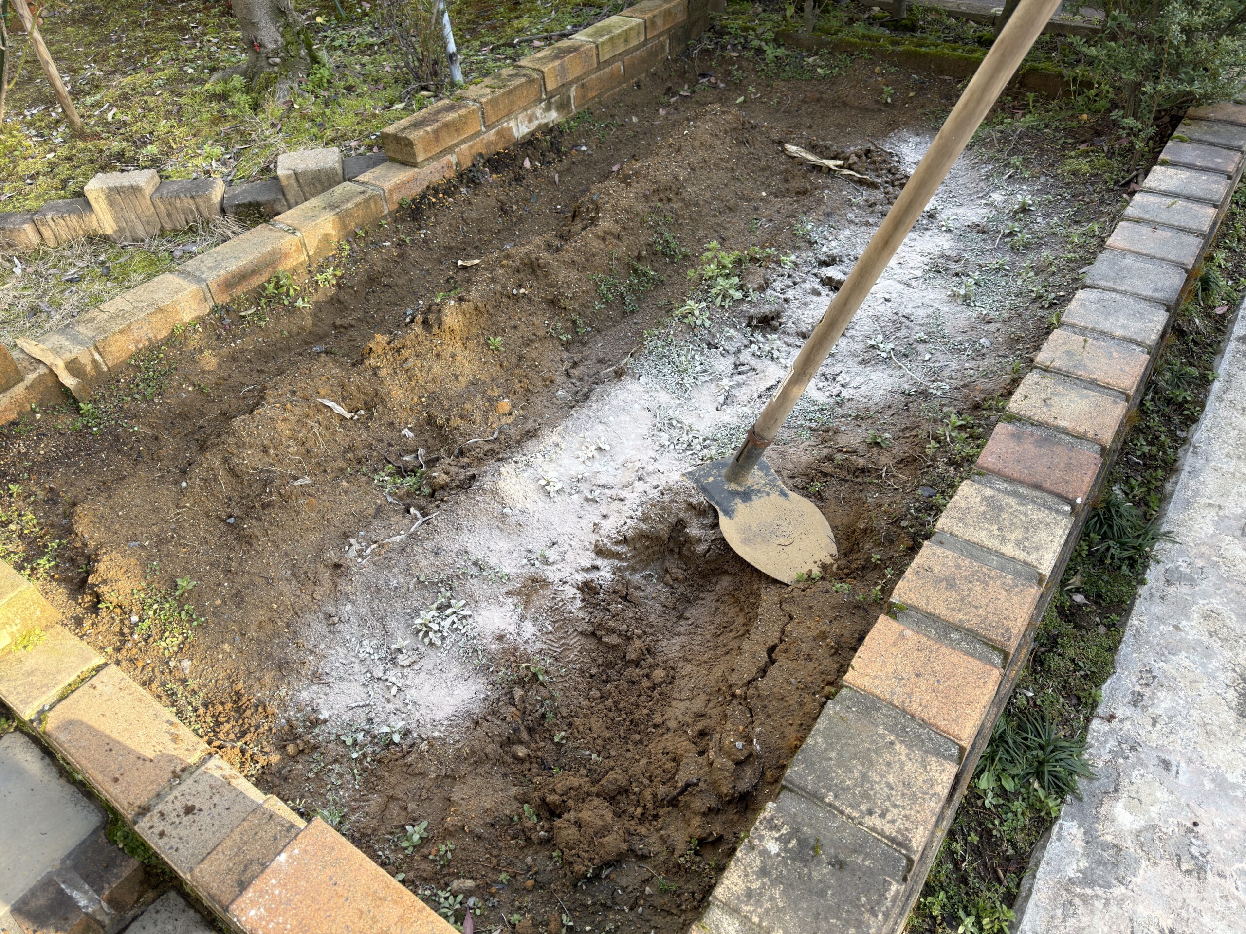 畑に石灰を撒いた様子