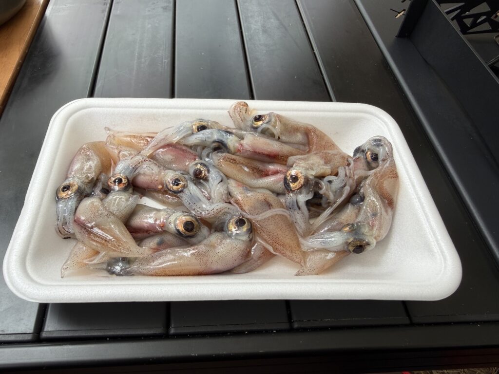 パックに入った生ホタルイカの様子