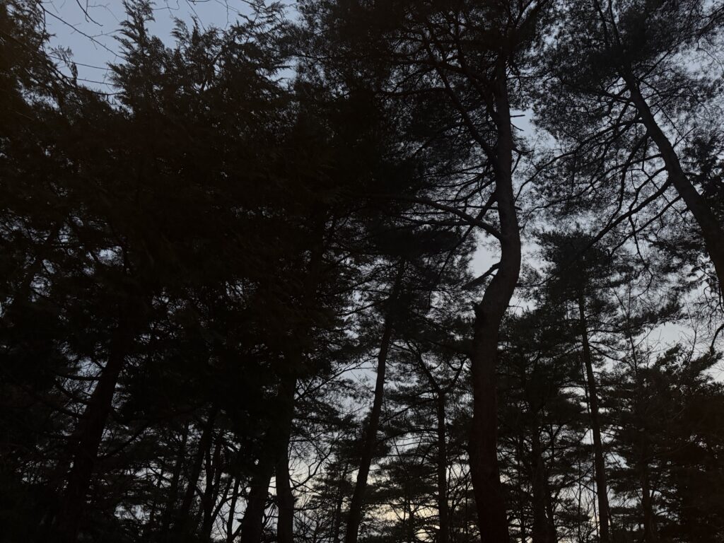 閑乗寺公園キャンプ場の夜へ向かう夕方の様子