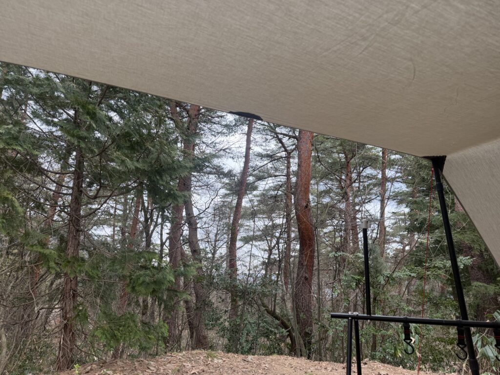 ドアを開けて車内から閑乗寺公園キャンプ場の朝の様子をみたところ