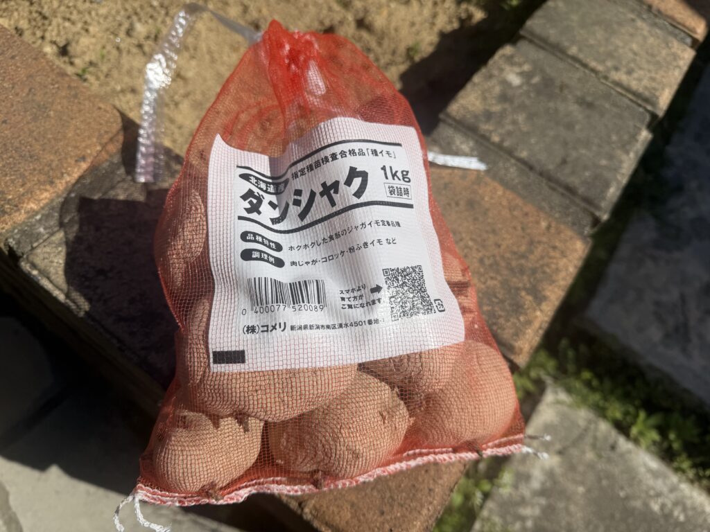 ダンシャクの種芋がネットの袋に入っている様子