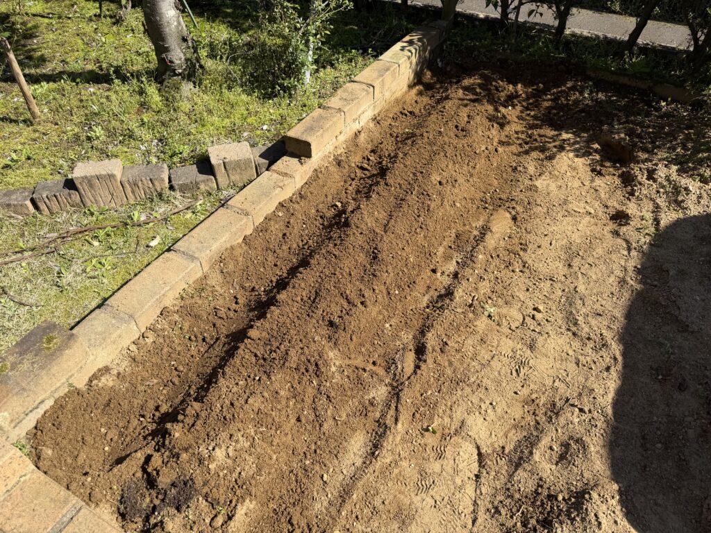 覆土が完了したジャガイモ畑の様子