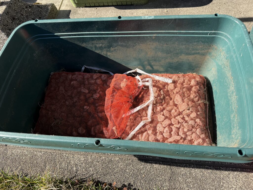 長方形のプランターの底にネットに軽石を入れたものを敷いた様子