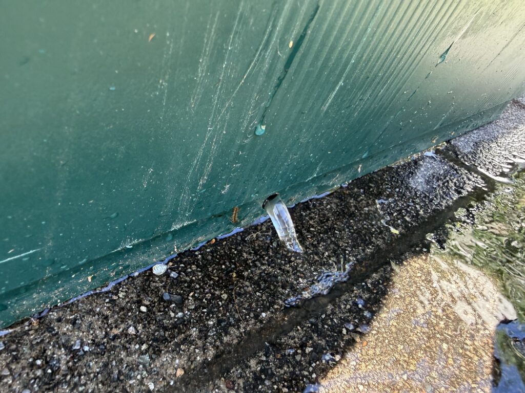 プランターの底部から勢いよく排水されている様子