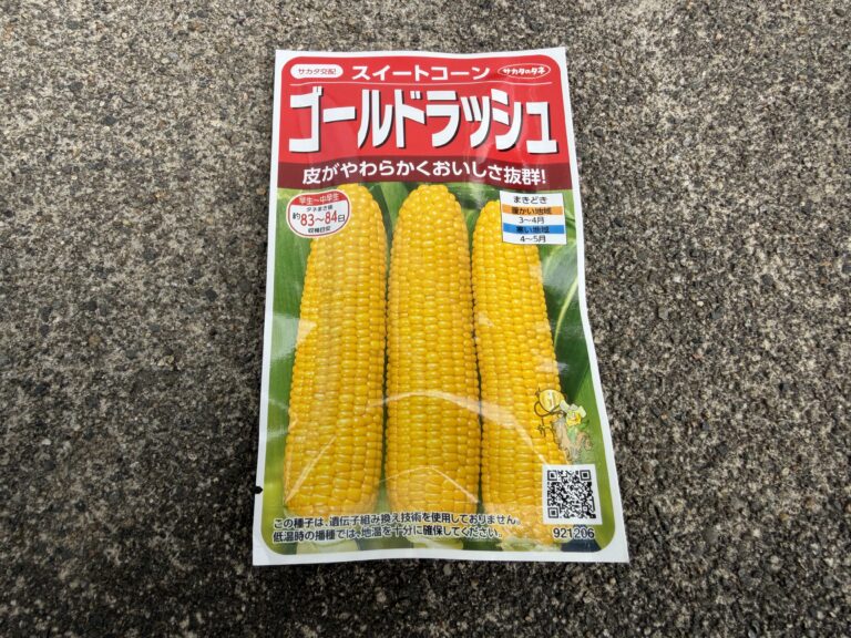 【家庭菜園】アラフィフおやじのプランター栽培｜とうもろこしをポットで種まき！ゴールドラッシュ手探りスタート