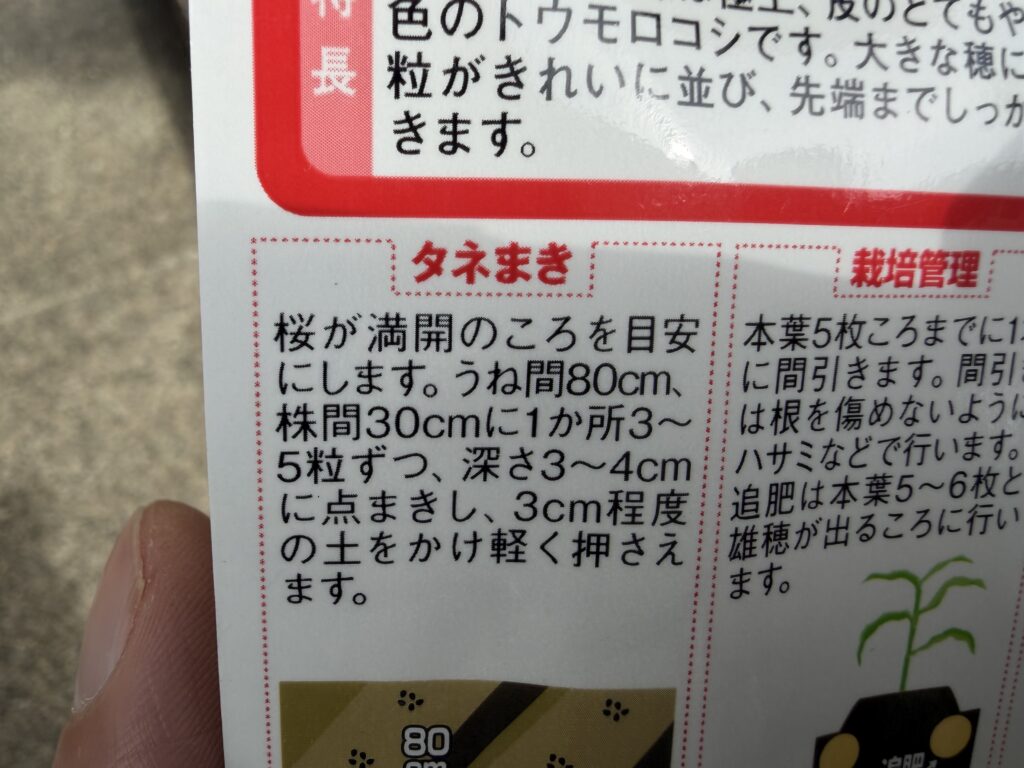 種袋の説明書き「深さ3～4cmに点まき」