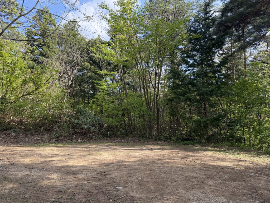 撤収完了後のキャンプサイトで、荷物や車がなくなった森に囲まれた空きスペースの様子