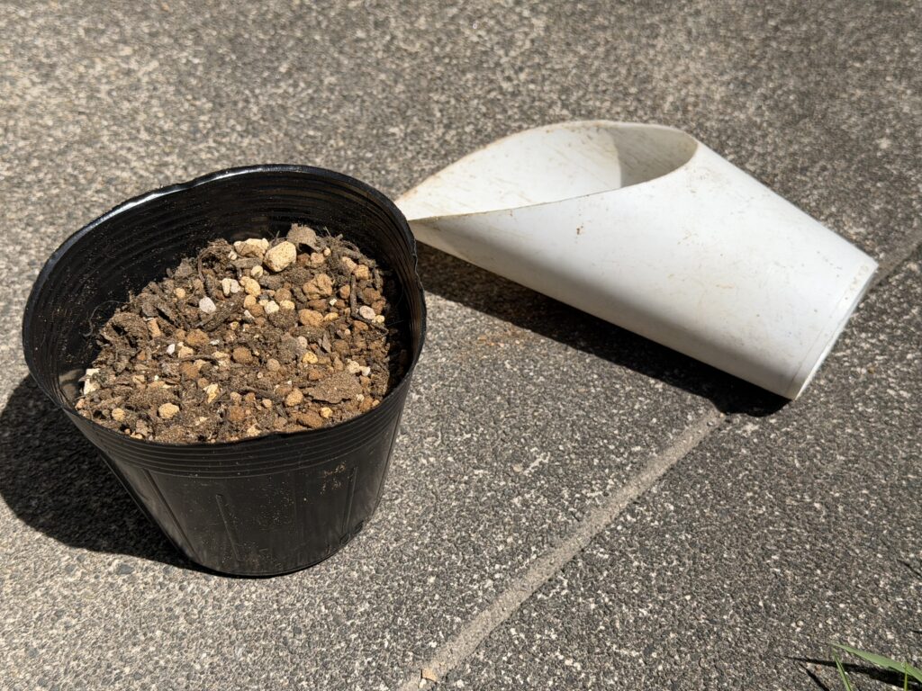ポットに培養土を入れた様子