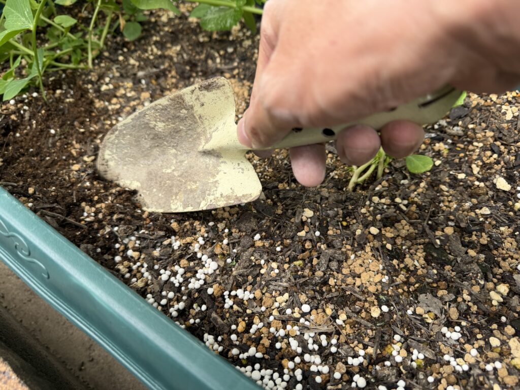 プランターの土にまいた肥料をスコップで軽くなじませている様子