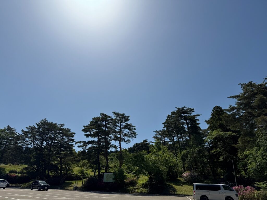 閑乗寺公園キャンプ場の駐車場から見上げた、雲ひとつない青空と木々の風景