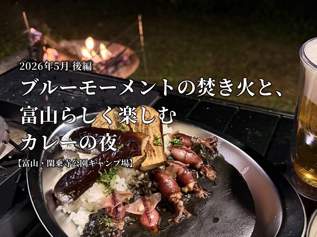 焚き火のそばでホタルイカと焼きナスをのせたカレーを盛り付けたキャンプ飯