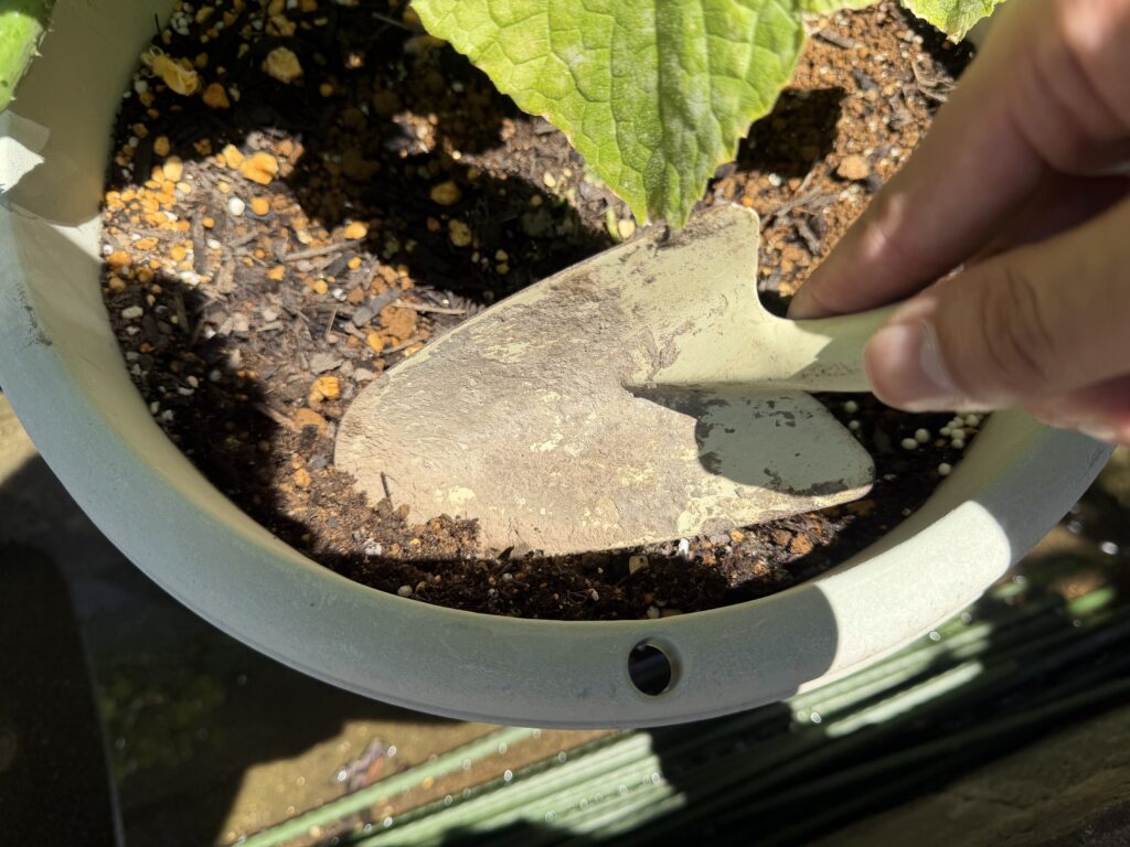 プランターの縁にまいた粒状肥料を、シャベルで表面の土と軽く混ぜている様子