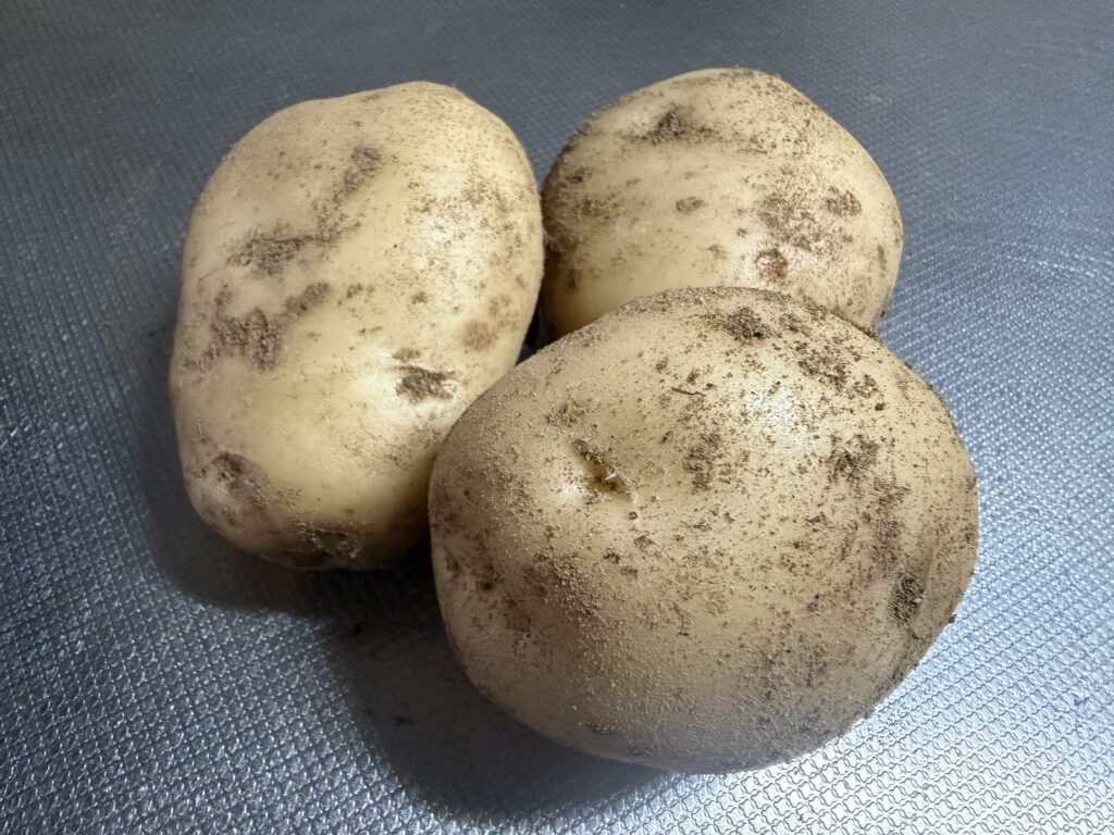 畑で収穫したジャガイモの中から、じゃがバタ明太に使う大きめの3個を選んだ様子
