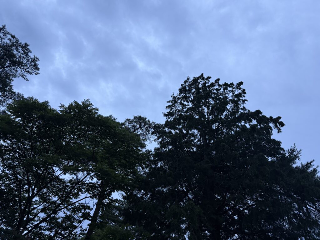夕暮れの青い空に包まれた閑乗寺公園キャンプ場のソロエリア