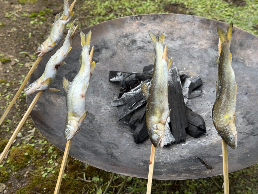 キャンプ場から持ち帰った5匹の鮎を自宅で炭火焼きにする様子