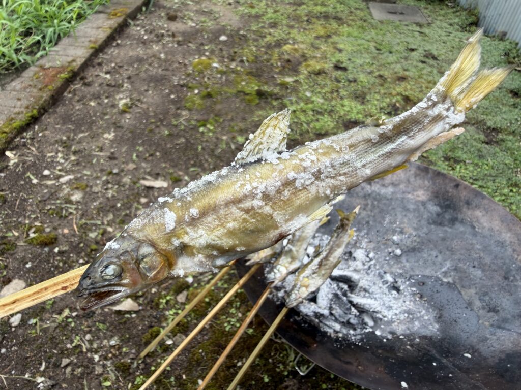自宅の炭火で香ばしく焼き上げた鮎の塩焼き