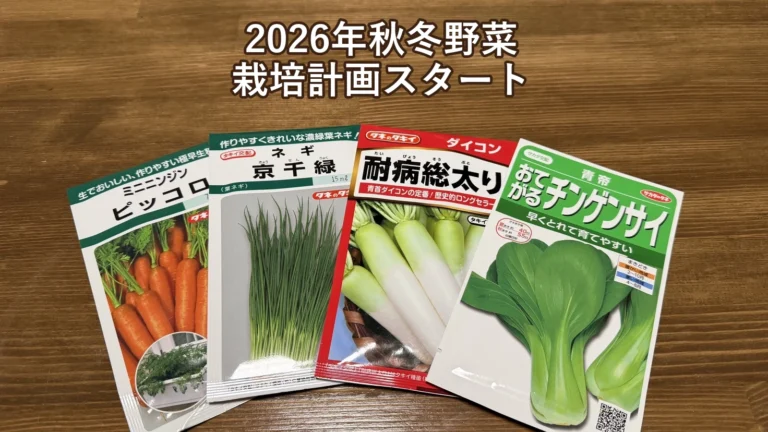木製テーブルに並べたミニニンジン「ピッコロ」、葉ネギ「京千緑」、ダイコン「耐病総太り」、チンゲンサイ「青帝」の種袋と「2026年秋冬野菜 栽培計画スタート」の文字