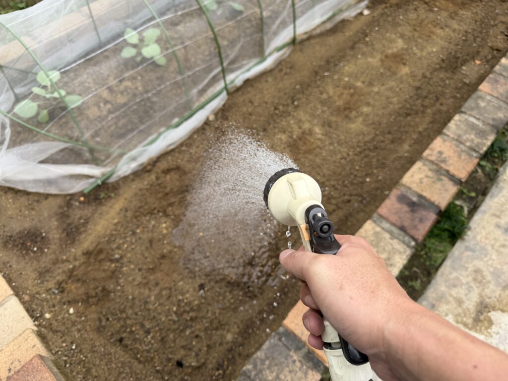 種まきを終えたダイコン畝に散水ノズルで水を与えている様子