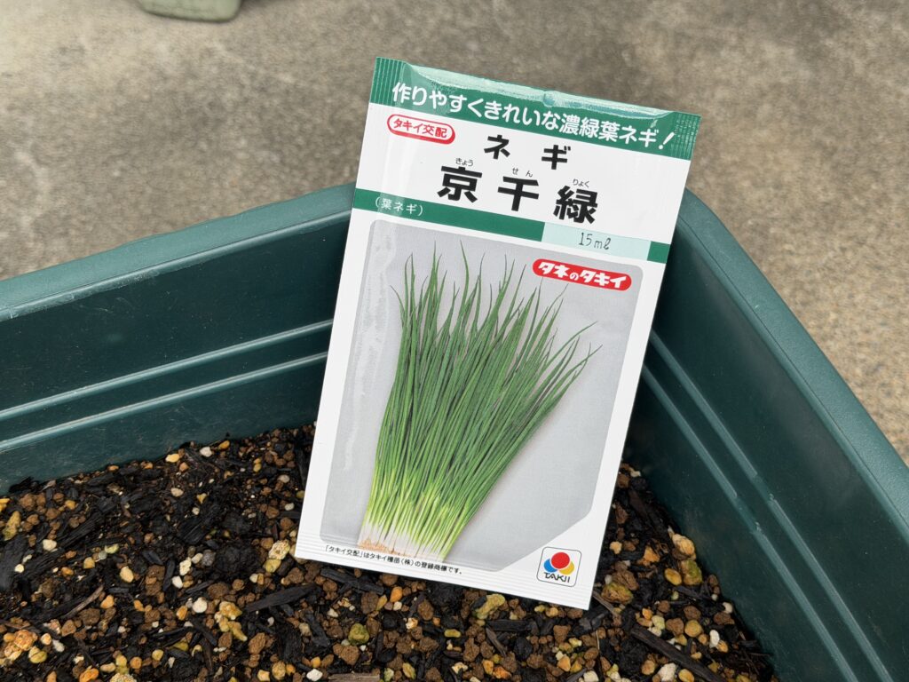 今回栽培するタキイ種苗の葉ネギ京千緑
