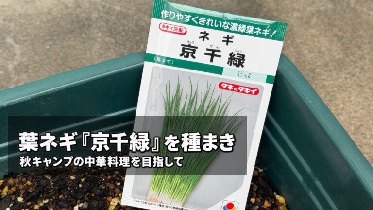720型プランターに葉ネギ「京千緑」の種袋を置いた様子
