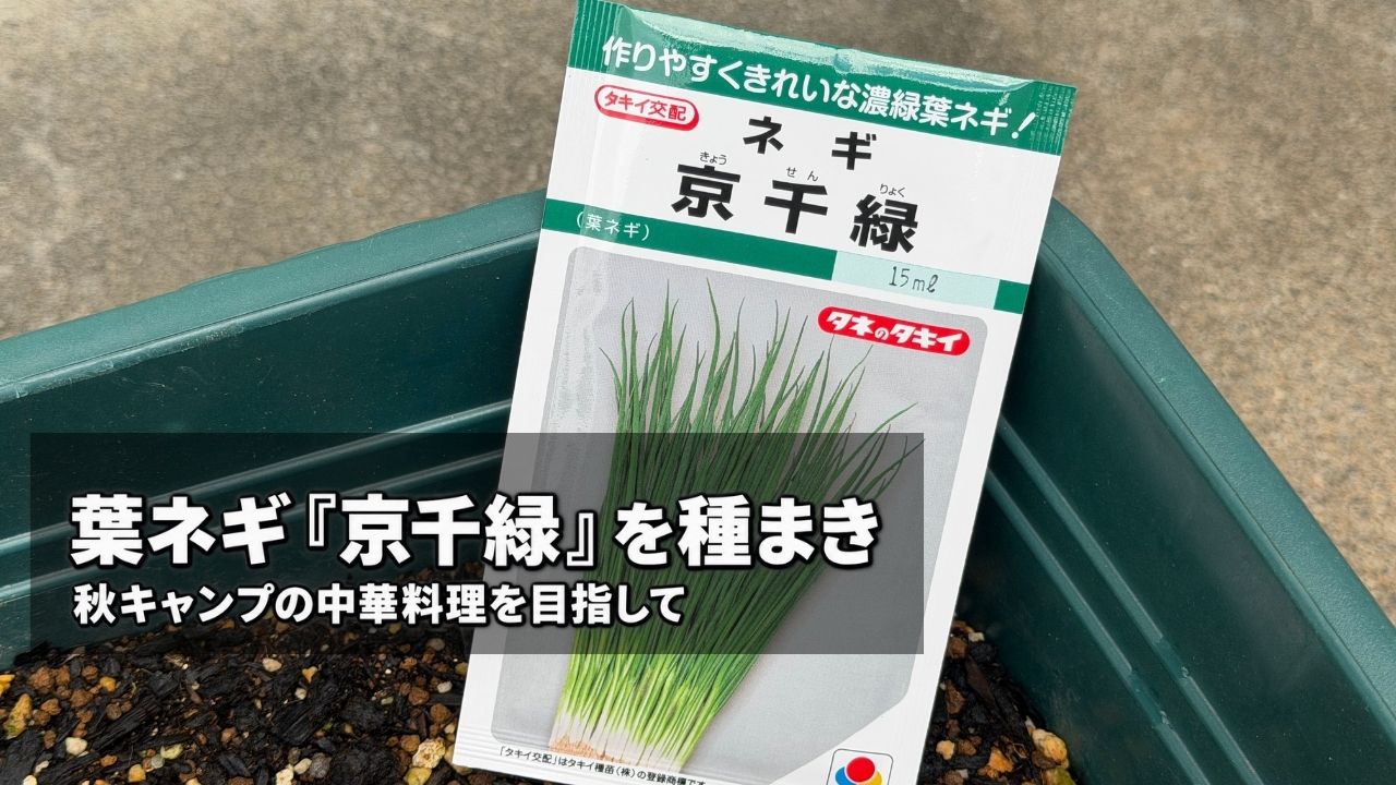 720型プランターに葉ネギ「京千緑」の種袋を置いた様子