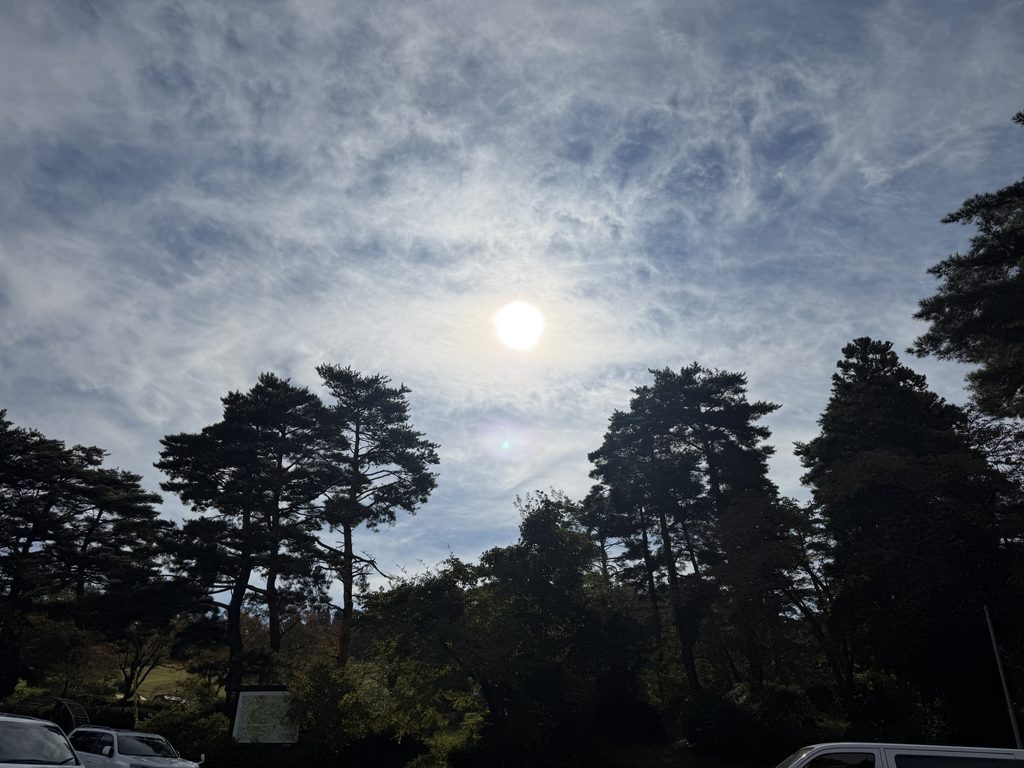 閑乗寺公園キャンプ場の駐車場から見上げた、木々と薄い雲、雲越しの太陽