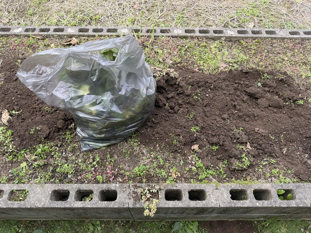 ナスの株を片付けたあとの畑と、取り除いた葉や枝を入れた袋